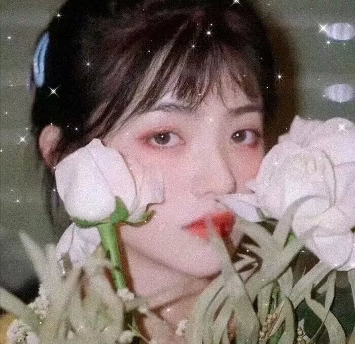 我的名字叫朱莉娅·罗斯